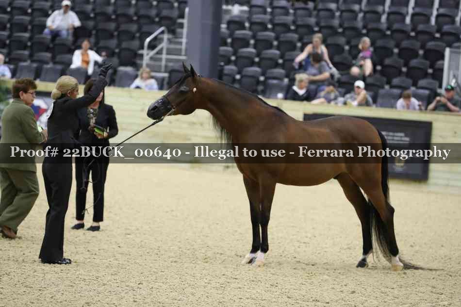 Proof 22BUCK_00640