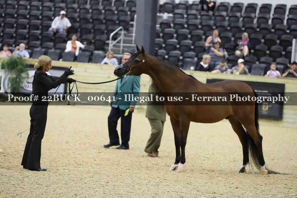 Proof 22BUCK_00641