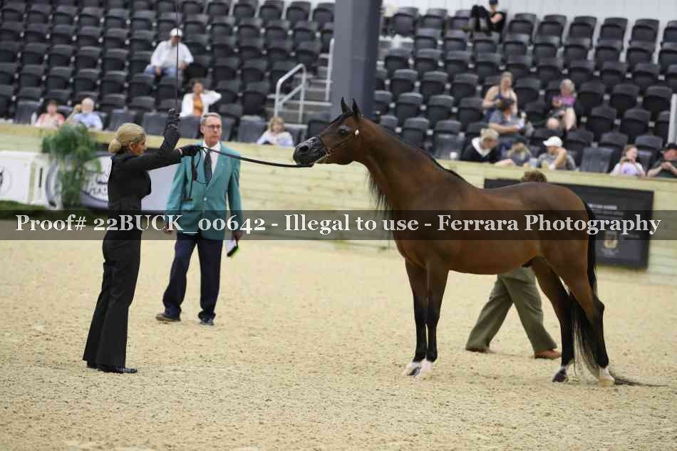 Proof 22BUCK_00642