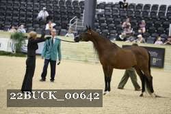 22BUCK_00642 proof