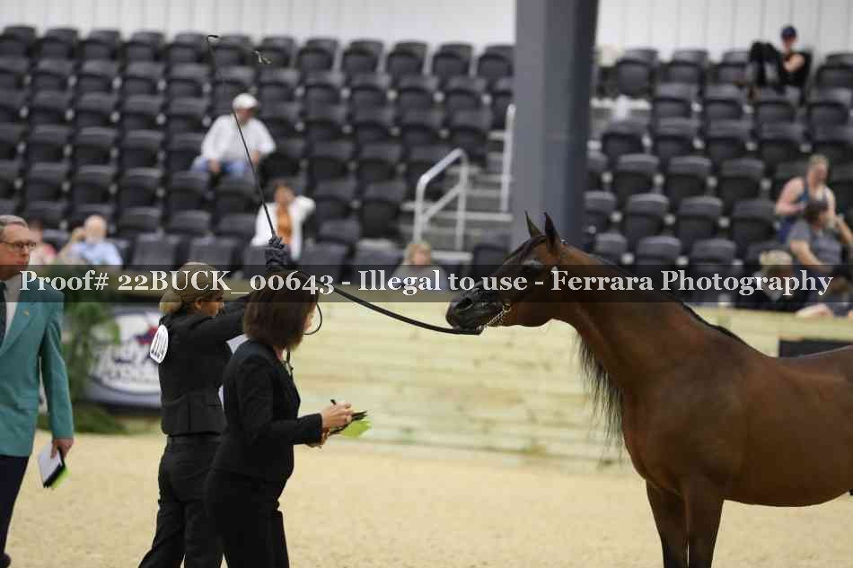Proof 22BUCK_00643
