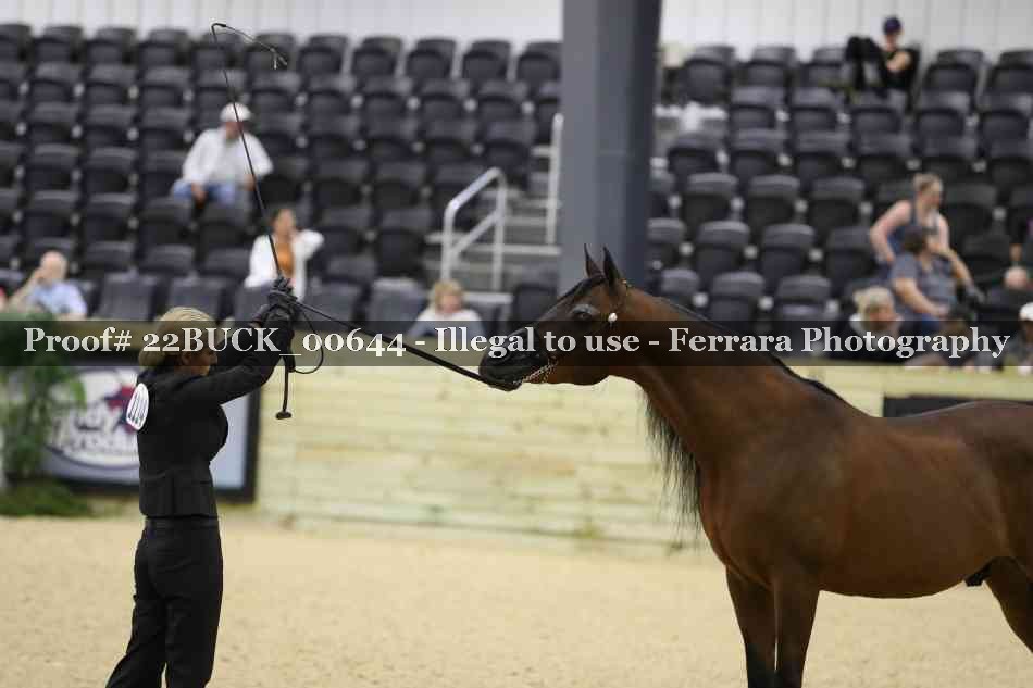 Proof 22BUCK_00644