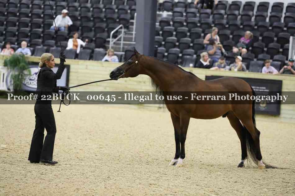 Proof 22BUCK_00645