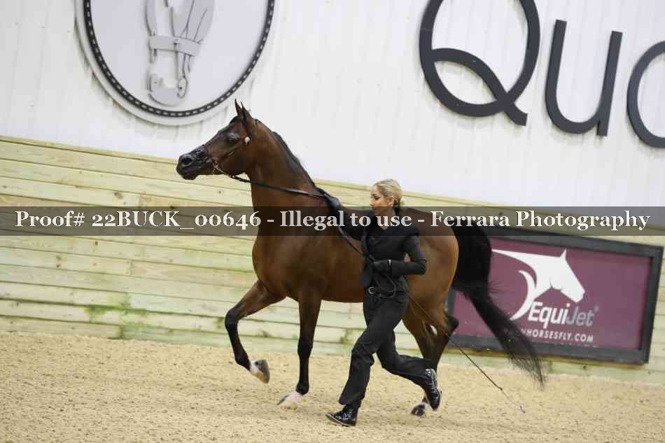 Proof 22BUCK_00646