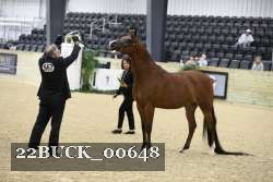 22BUCK_00648 proof