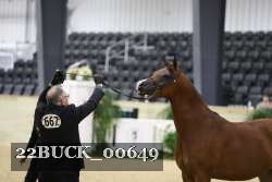 22BUCK_00649 proof