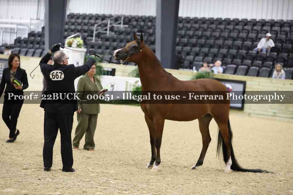 Proof 22BUCK_00651