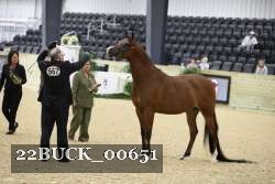 22BUCK_00651 proof
