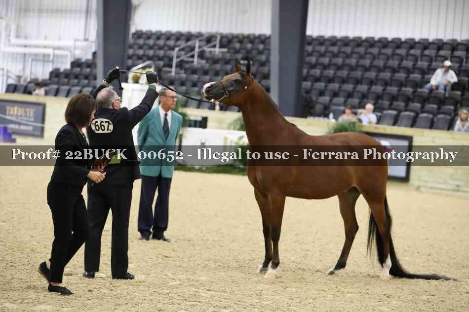 Proof 22BUCK_00652