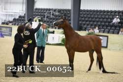 22BUCK_00652 proof