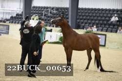 22BUCK_00653 proof
