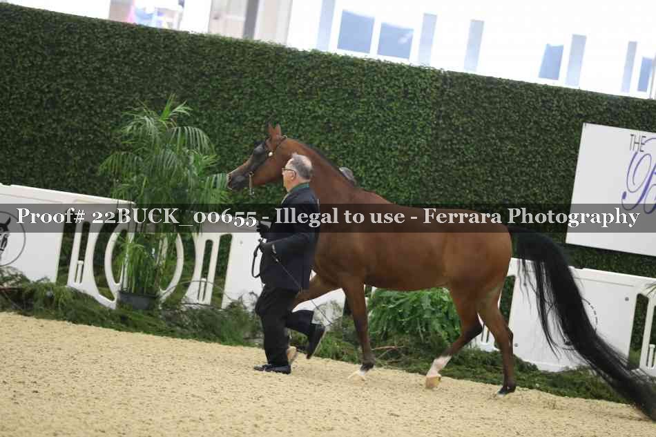 Proof 22BUCK_00655
