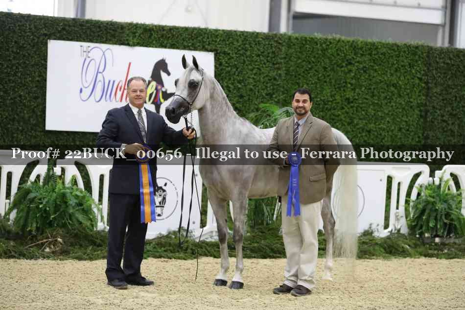 Proof 22BUCK_00656