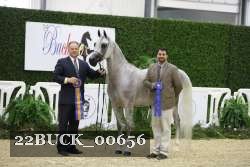 22BUCK_00656 proof