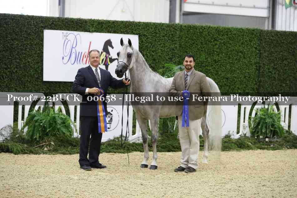 Proof 22BUCK_00658