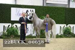 22BUCK_00658 proof