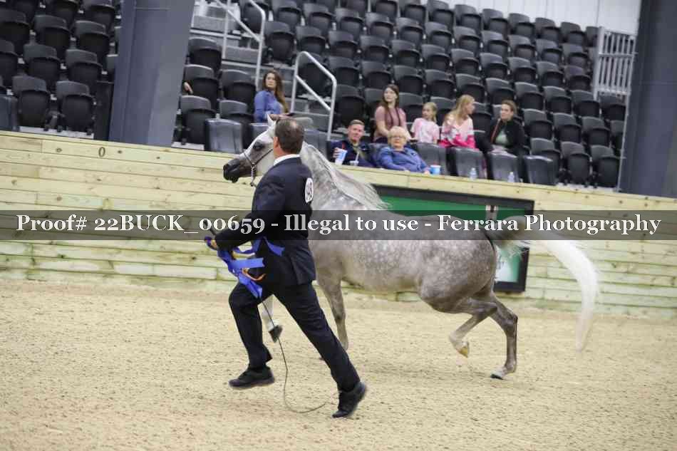 Proof 22BUCK_00659