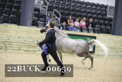 22BUCK_00659 proof