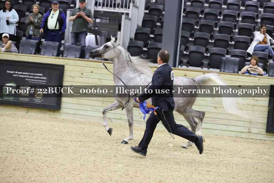 Proof 22BUCK_00660