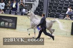 22BUCK_00660 proof