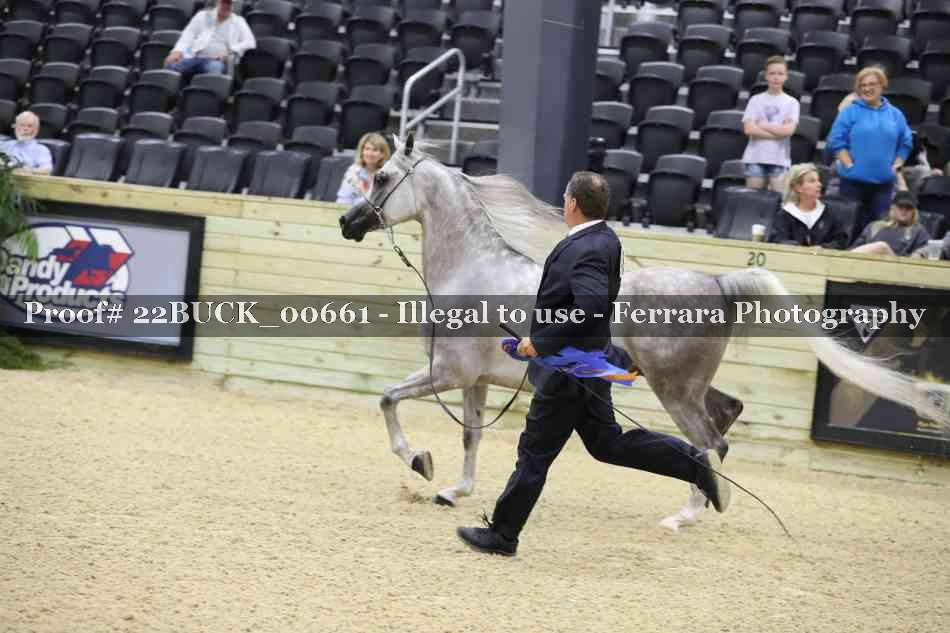 Proof 22BUCK_00661