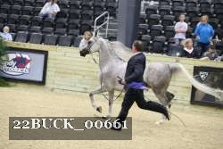 22BUCK_00661 proof