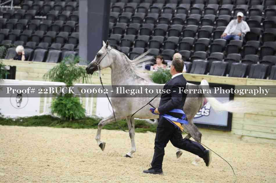 Proof 22BUCK_00662