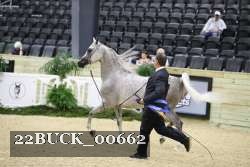 22BUCK_00662 proof