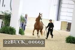 22BUCK_00663 proof