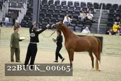 22BUCK_00665 proof