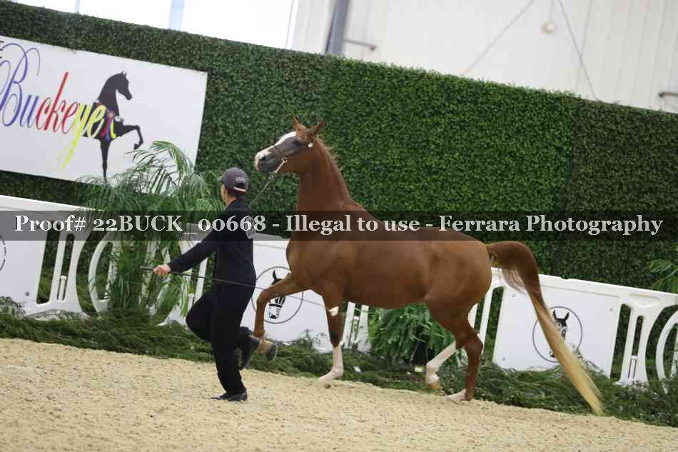 Proof 22BUCK_00668