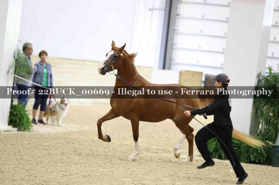 Proof 22BUCK_00669