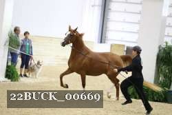 22BUCK_00669 proof