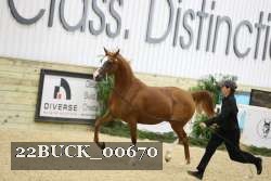 22BUCK_00670 proof