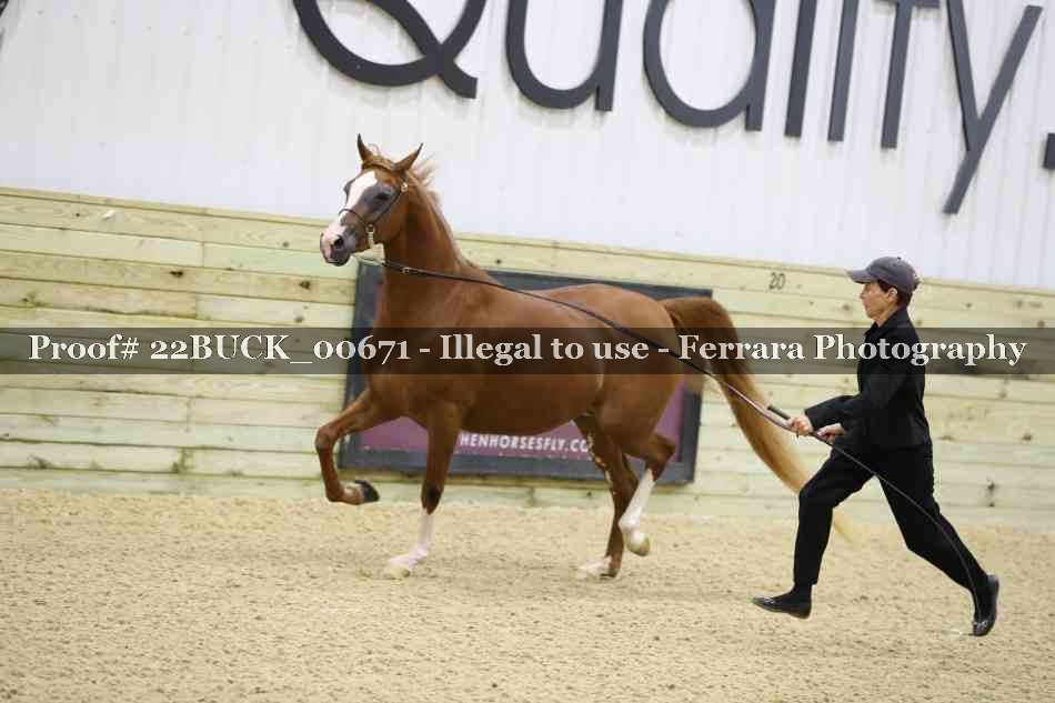 Proof 22BUCK_00671
