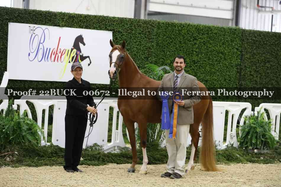Proof 22BUCK_00672