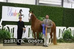 22BUCK_00672 proof