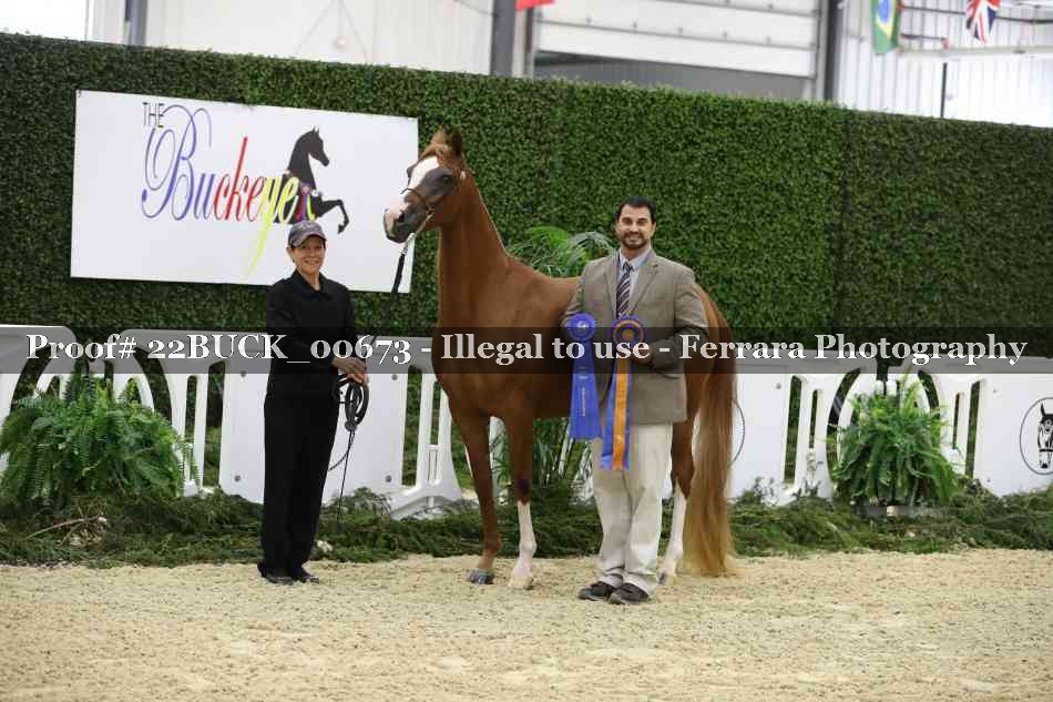Proof 22BUCK_00673