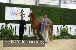 22BUCK_00673 proof