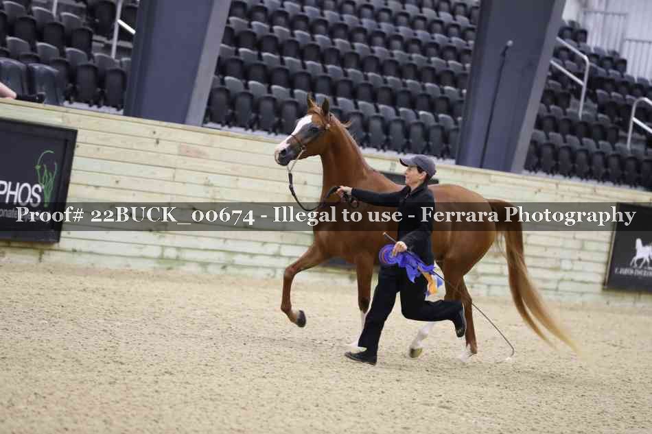 Proof 22BUCK_00674