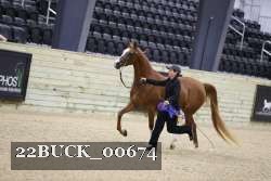 22BUCK_00674 proof