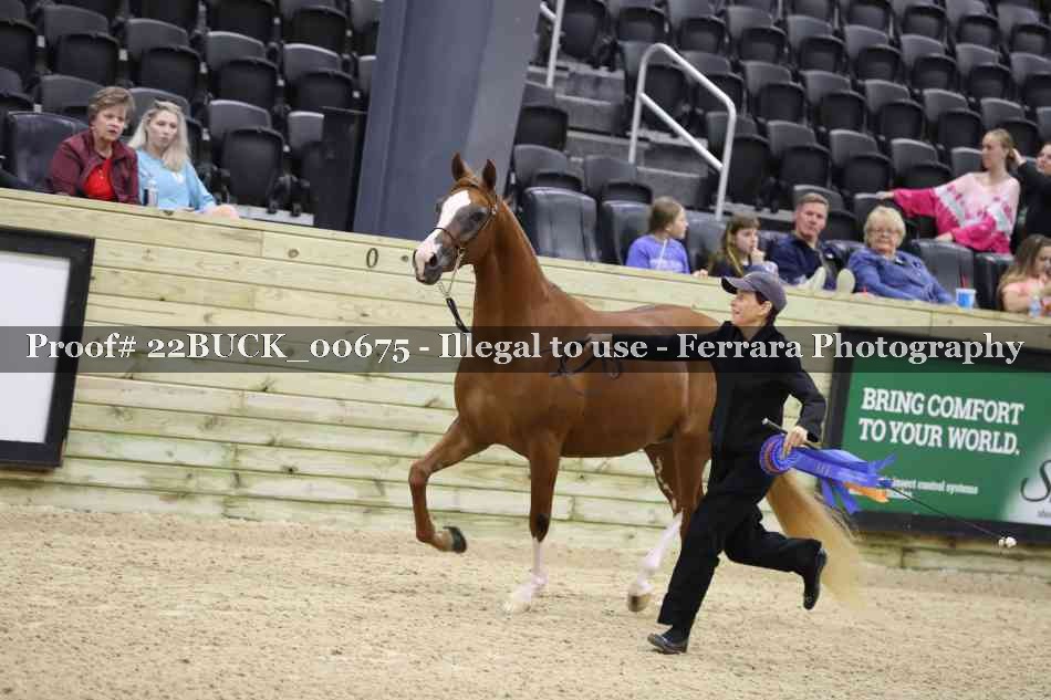 Proof 22BUCK_00675