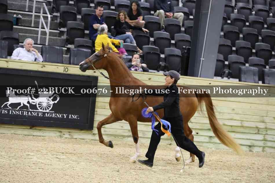 Proof 22BUCK_00676