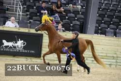 22BUCK_00676 proof