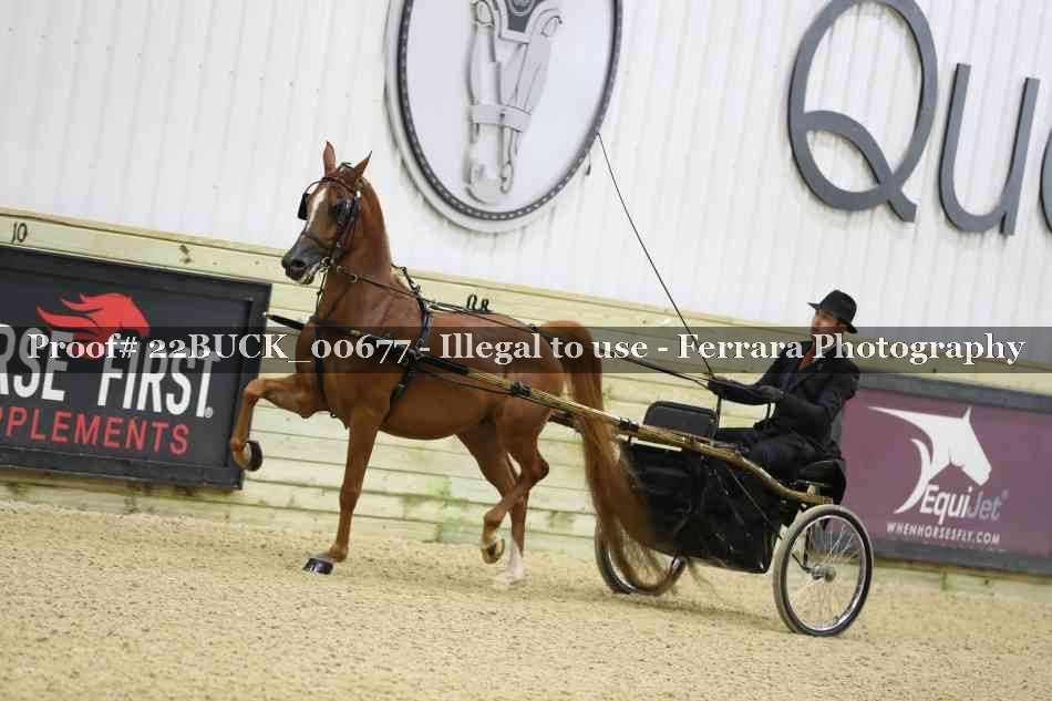 Proof 22BUCK_00677