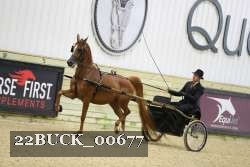 22BUCK_00677 proof
