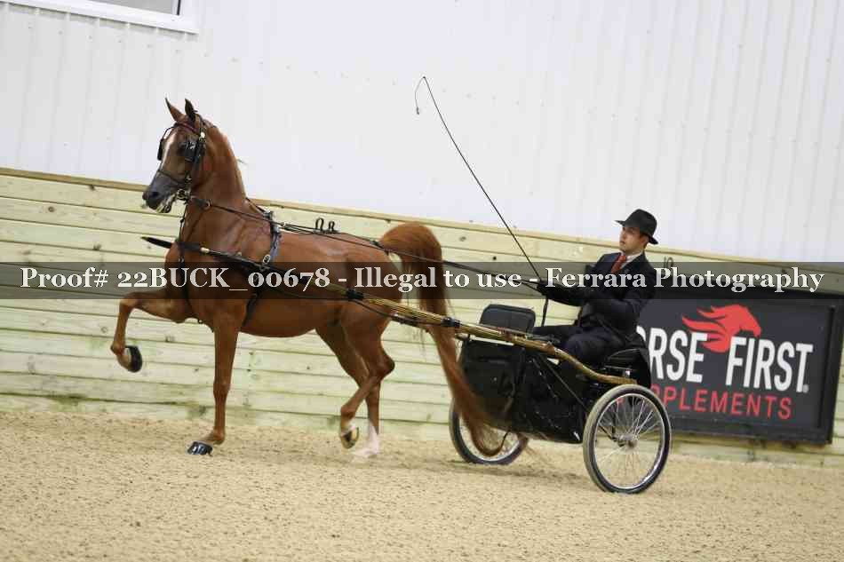 Proof 22BUCK_00678