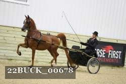 22BUCK_00678 proof