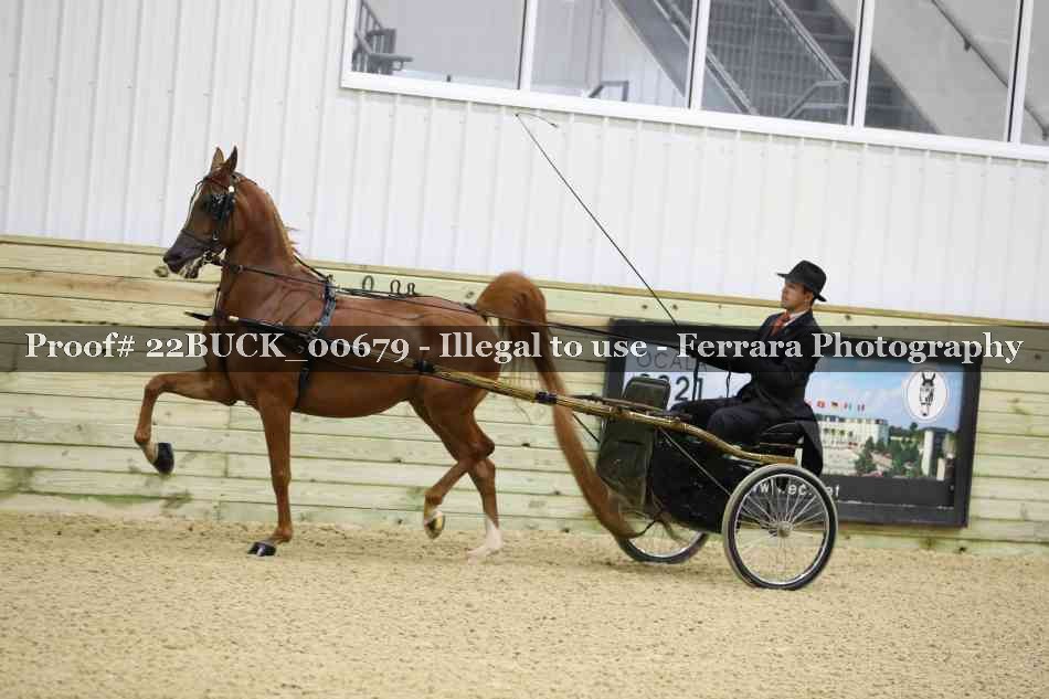 Proof 22BUCK_00679