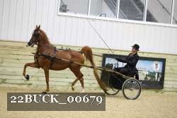 22BUCK_00679 proof